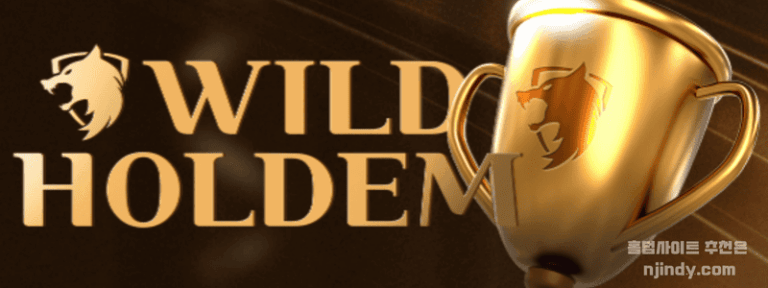 TOP1 와일드홀덤